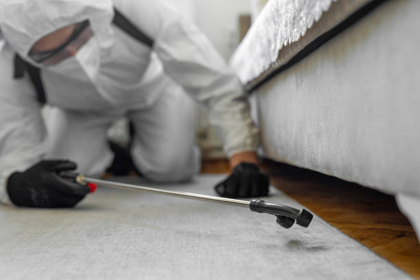 Professional Termite Control technician working in Millbury, OH