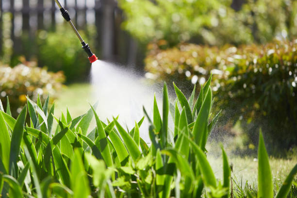 24/7 Emergency Termite Control experts in Millbury, OH