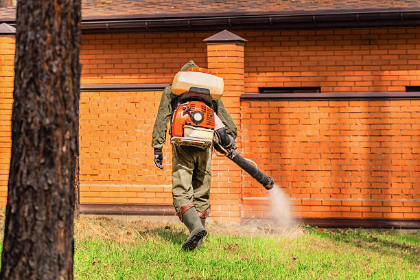 Top rated local Termite Control specialists in Millbury, OH